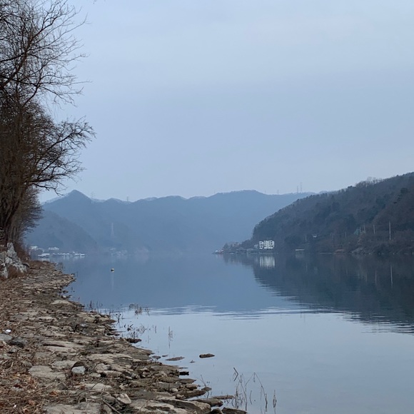 Meet your Posher, Haley - Picture 1 of 1